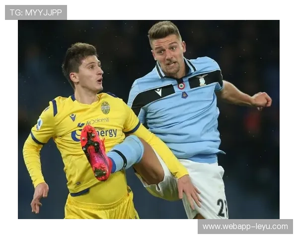 维罗纳阵容深度分析：新赛季实力布局与潜力球员