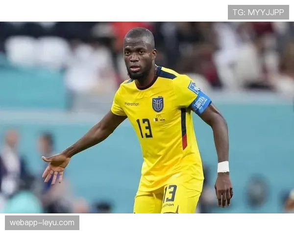 厄瓜多尔球队在南美杯近期表现稳健竞争力增强